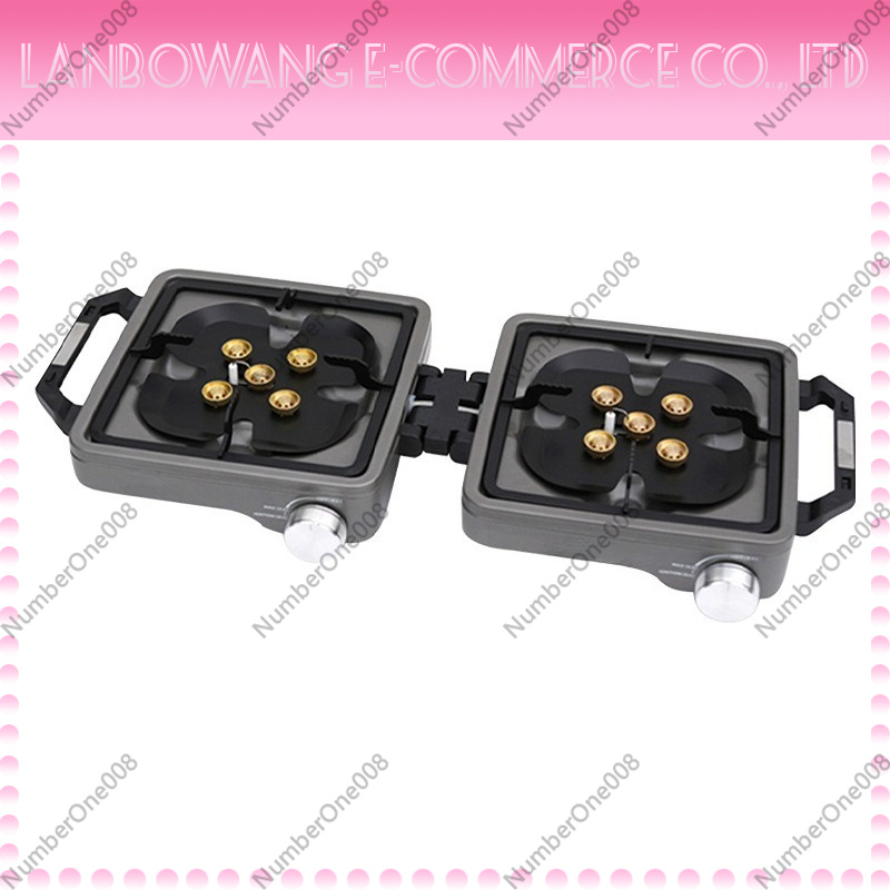 Camping Cooking With Gas - Outdoor Dual Burner High Power Camping