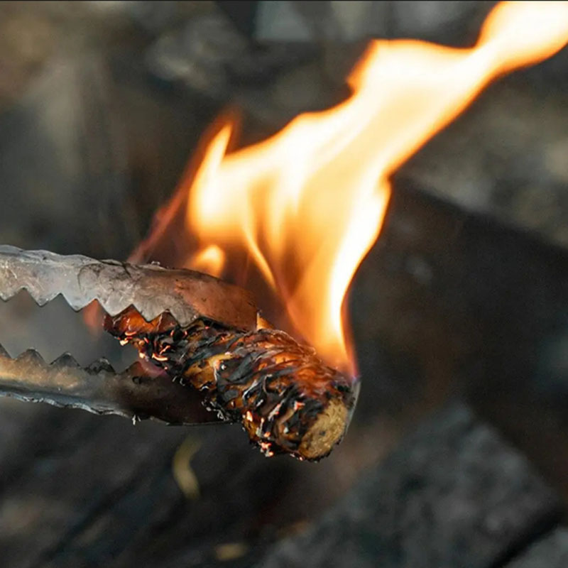10/30/60pcs Natural Fire Start - огляд і ціна Charcoal Chimney Starter