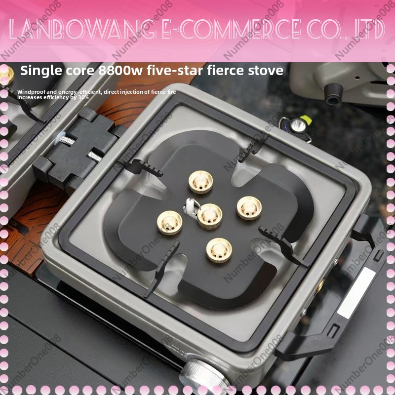 Outdoor Dual Burner High Power - огляд і ціна Camping Cooking With Gas