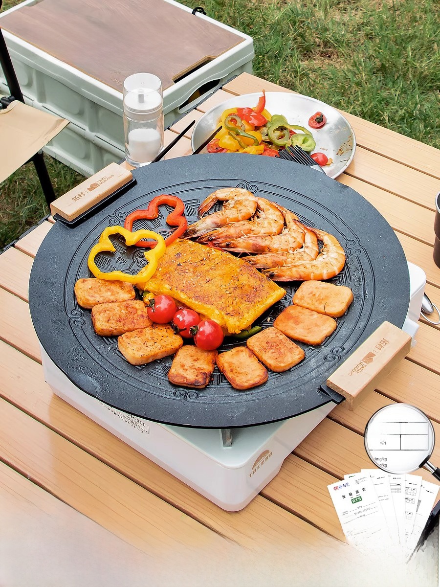 Portable Induction BBQ Grill S - огляд і ціна Camping Cooking Area